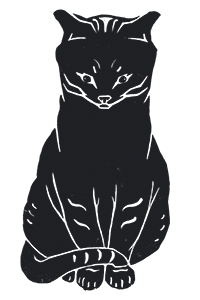a black cat